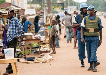 La criminalité organisée en Centrafrique: Typologie & défis