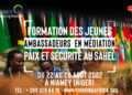 Séminaire de formation des jeunes ambassadeurs Médiation-paix et sécurité au Sahel du 22 au 26 août 2022 au Laboratoire d’Etudes et de Recherche sur les Dynamiques Sociales et le Développement Local (LASDEL) à Niamey au Niger