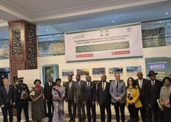 Nexus Climat-Sécurité en Afrique centrale : Thinking Africa partenaire de l’atelier régional de Libreville